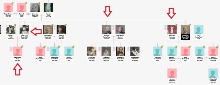 butterfield family tree_ancestry